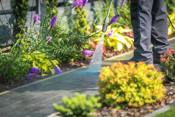 Best Parking Lot and Garage Cleaning  in Sneads Ferry, NC